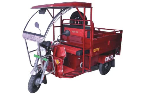 Bhave Electric Bhave Electric E-Cart Champion