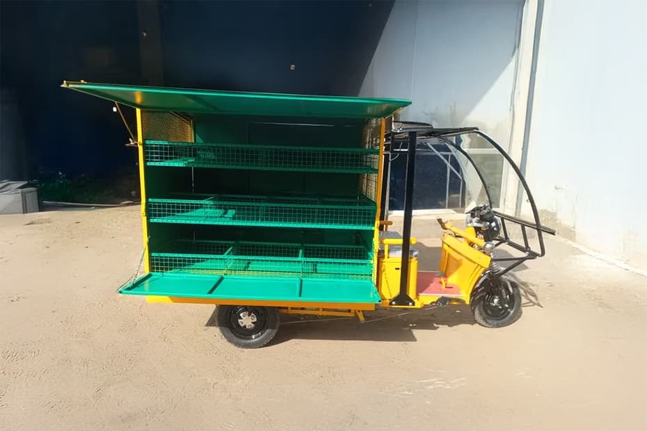Bhavi Bhavi Vegetable Cart