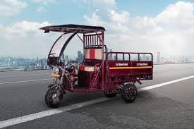 Top Team Machines Top Team Machines E-Cart Cargo