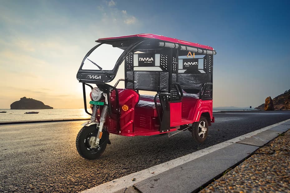 Zelio Zelio Tanga Butterfly