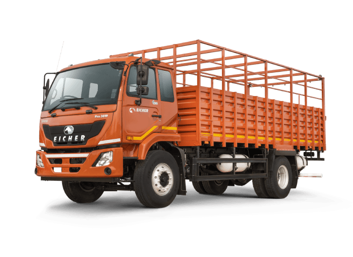 Eicher Eicher Pro 3019