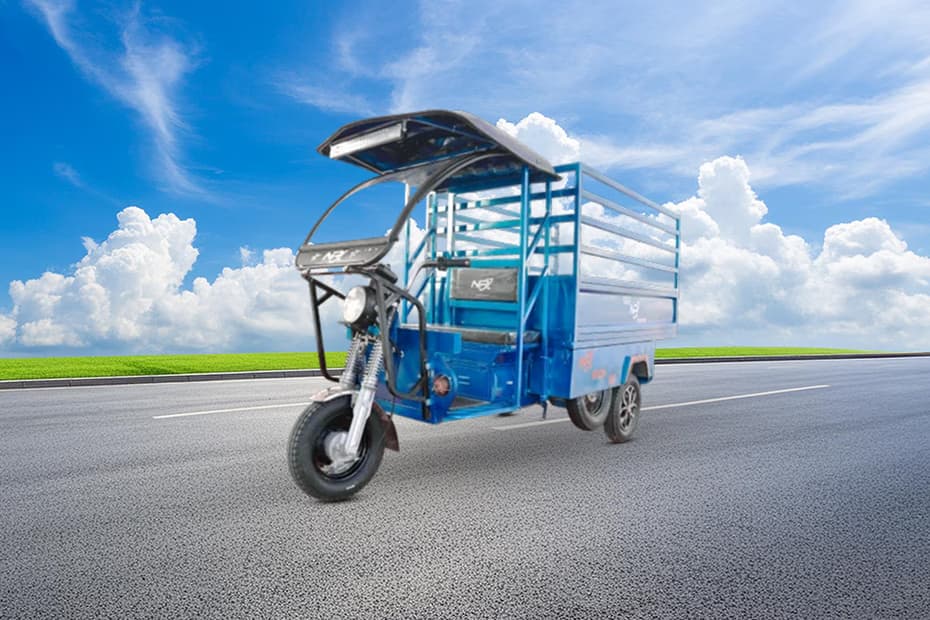 NRJ Electric Motor NRJ Electric Motor RICH 100 Full Body Loader